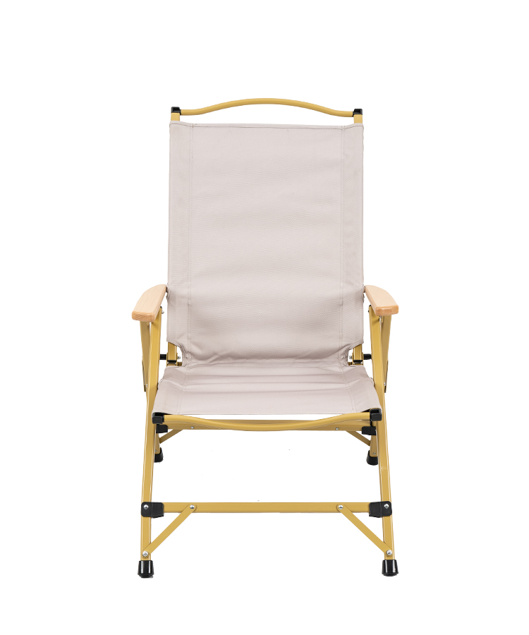 Supersun Removable Kermit Chair Adjustable Folding Lounge Chair